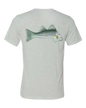 Casual Everyday Everyday Fit Massachusetts Striper Tri blend T-Shirt | Grey