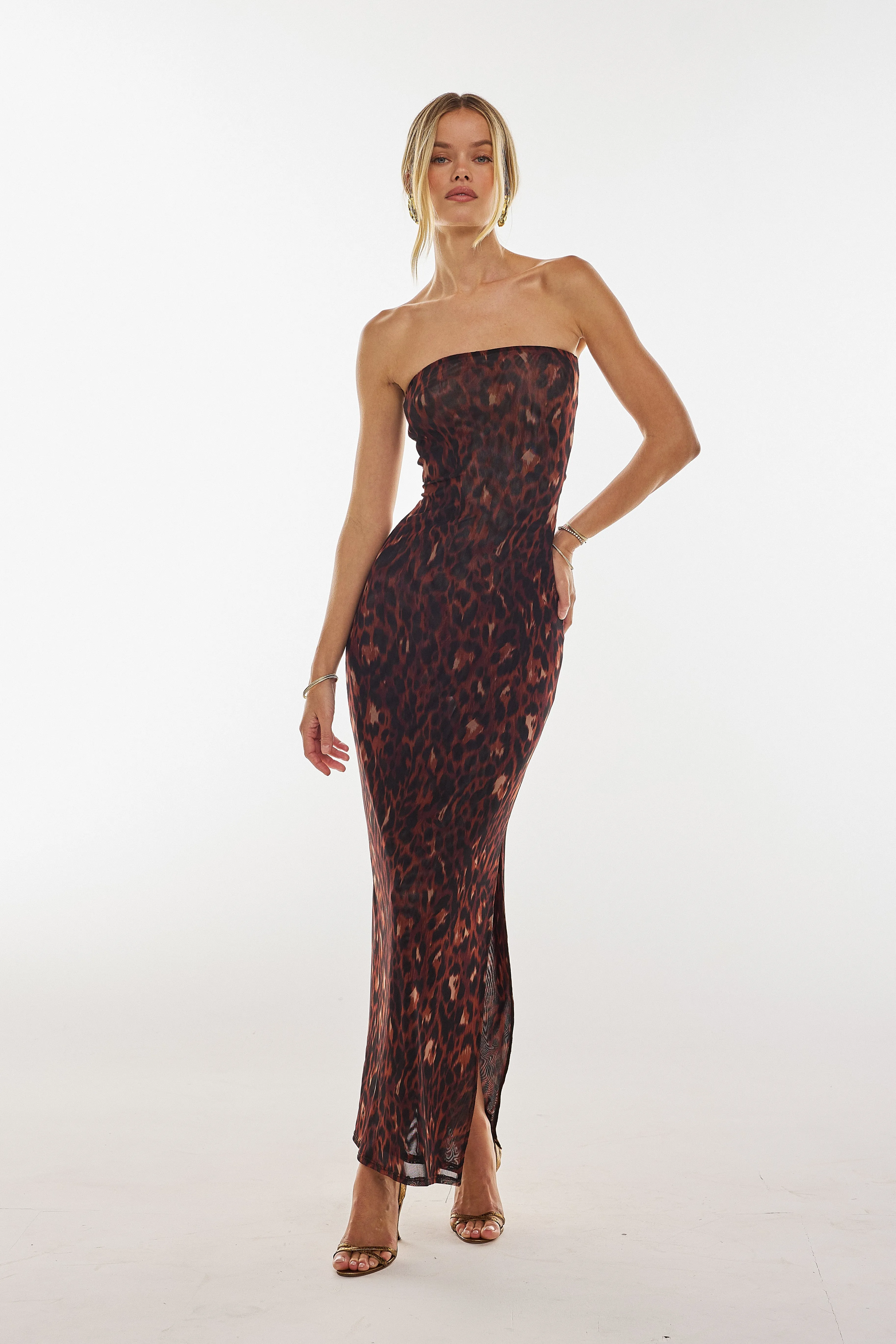 Boho Mood Demi Mesh Dress in Knox