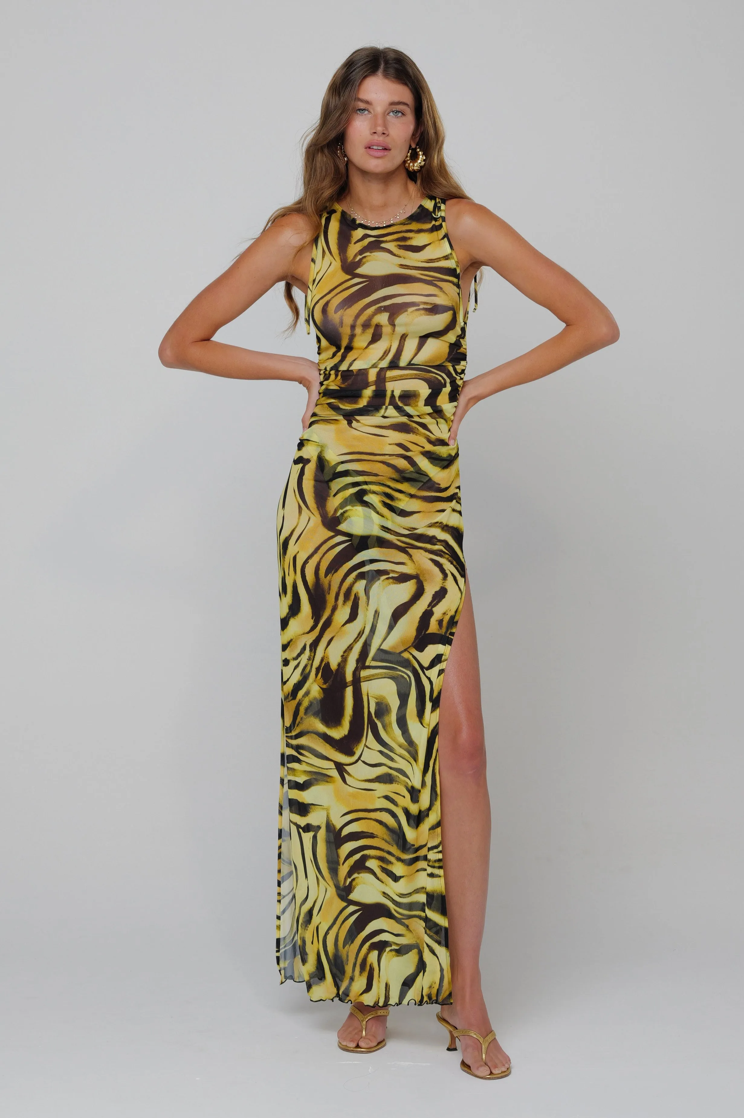 Paige Dress in Lioness Refined Aesthetic